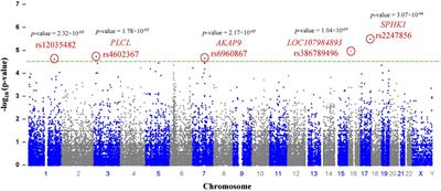 Exome-wide analysis identify multiple variations in olfactory receptor genes (OR12D2 and OR5V1) associated with autism spectrum disorder in Saudi females